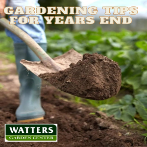 👨‍🌾Gardening Tips for Years End 👨‍🌾