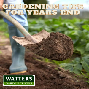 Gardening Tips for Years End