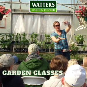 Free Garden Classes @ Watters Garden Center