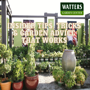 Mountain Gardener Seg 6 Garden Tips from The Top 10 Gardener