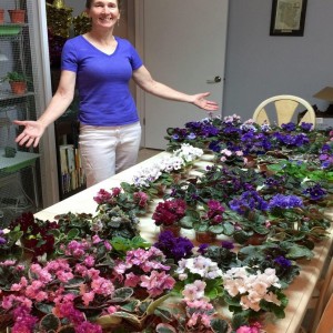 Autumn Transition Provide Gardeners with Plant Savings