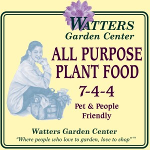 Best Approach to Autumn Fertilizer and Foods