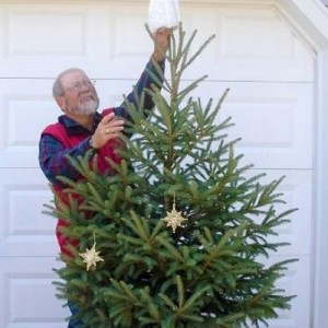 Best Evergreen Trees Use as Christmas Trees Inside and Out