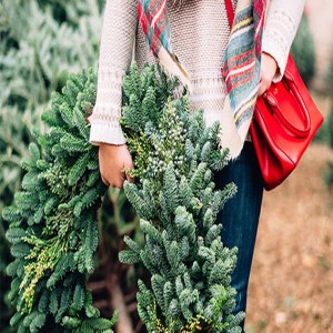 Keeping Christmas Trees Fresh through the Holidays