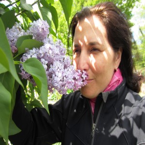 Best Blooming Shrubs of Spring