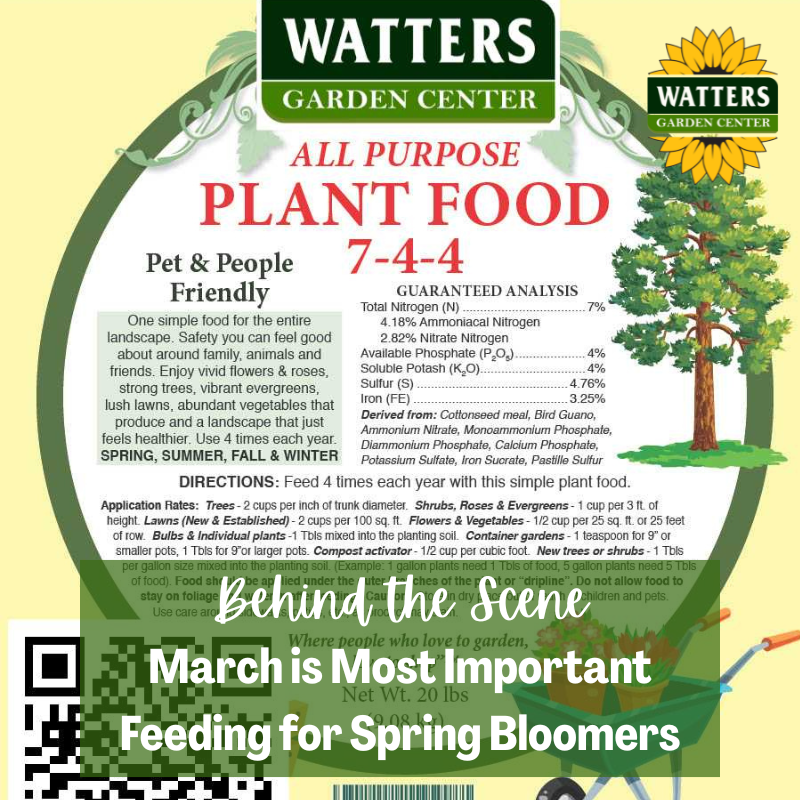 Behind the Scene Follower Bonus:March is Most Important Feeding for Spring Bloomers