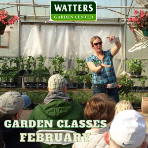 Dive into Spring Gardening: Free Weekly Classes at Water's Garden Center
