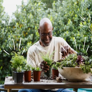 Gardening Made Easier with These Insider Tips and Tricks