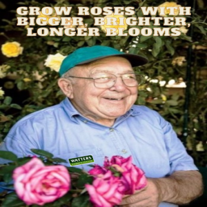 Grow Roses with Bigger Brighter Longer Blooms