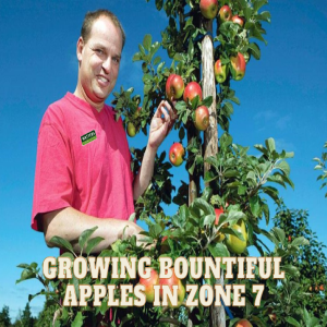 🍎 Growing Bountiful Apples in Zone 7🍎
