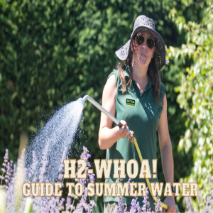 🚿H2-Whoa! A Guide to Quenching Your Garden’s Summer Thirst 🚿