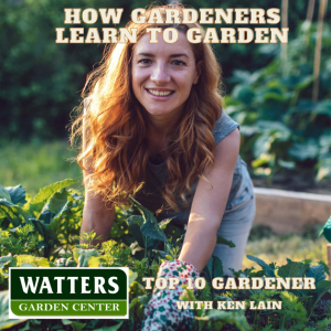 How Gardeners Learn to Garden
