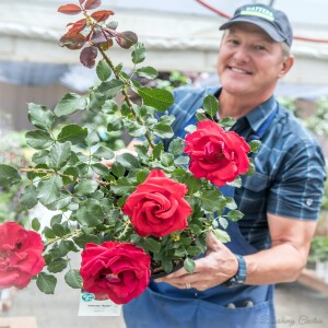 Top 9 Tasks for Better Spring Gardens