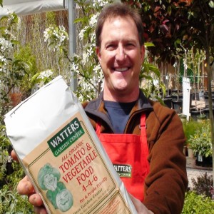 Plant Foods Simplified for Best Spring Growth