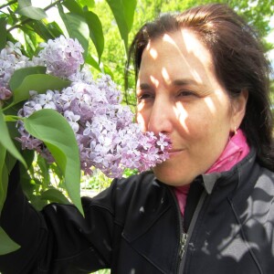 Top 10 Fragrant Spring Shrubs in Landscape