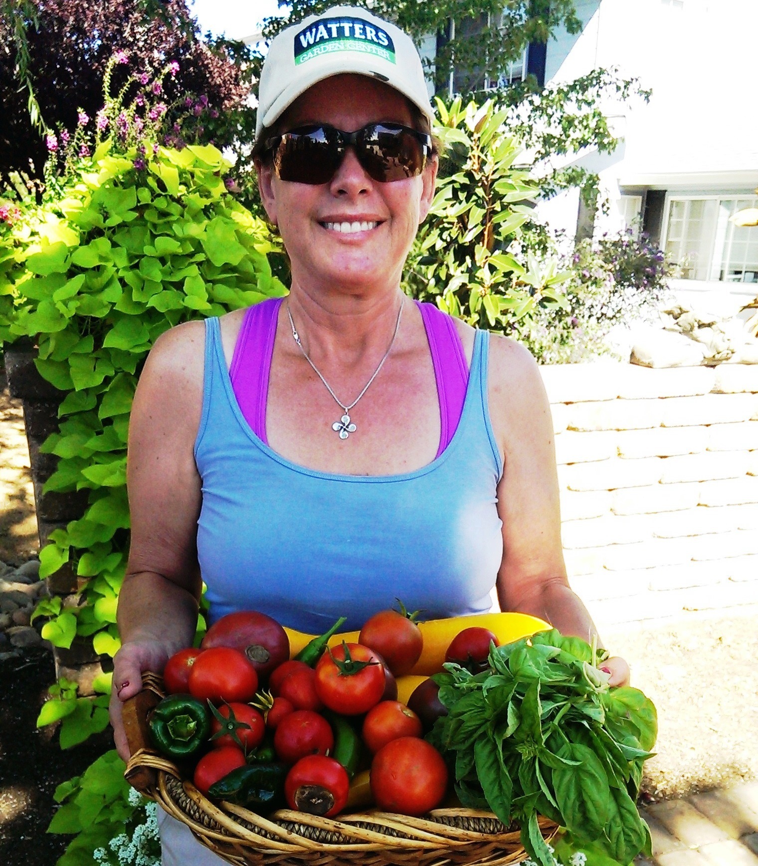 Tomatoes - Growing Bigger Better Fruits
