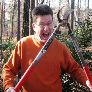 Proper Pruning Winter Gardens