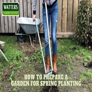 How to Prepare a Garden for Spring Planting