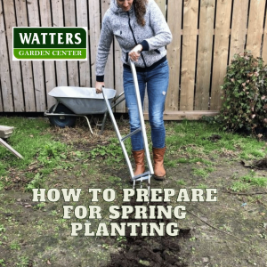 🌱How to Prepare the Garden in January for Spring Planting