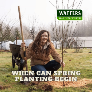 🌷When Can Spring Planting Begin