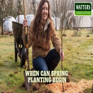 When Can Spring Planting Begin