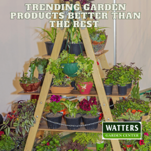 🪴Trending Garden Products Better than the Rest 🪴