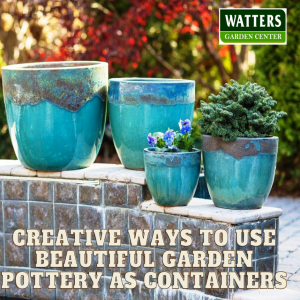 🪴 Using Garden Pottery as Containers