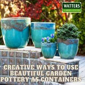 Creative Ways to Use Beautiful Garden Pottery as Garden Containers
