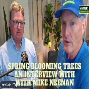 🌳Interview with Mike Neenan Schmit Nursery - Flowering Trees of Spring 🌳