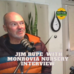 🎥An Interview with Jim Rupe from Monrovia Nursery