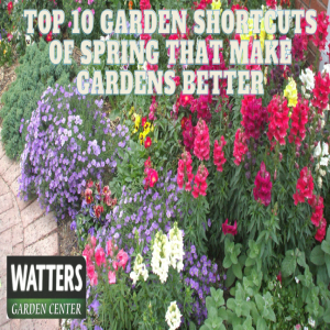 🪴Top 10 Garden Shortcuts of Spring that Make Gardens Better 🌸