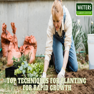 🌱Fast-Growth Gardening: Essential Techniques for Planting Rapid-Growing Plants