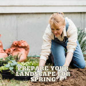 🎙️Welcome to Episode 25 – 08 of The Top 10 Gardener Podcast' with Ken and Lisa Lain!