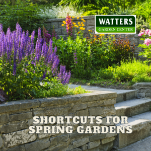 🌄Top 10 Garden Shortcuts of Spring That Make Gardens Better