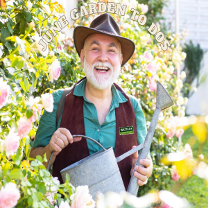 What Smart Gardeners Do in the Summer Garden