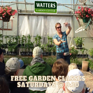 📝Grow Your Green Thumb for Free Garden Classes at Watters Garden Center