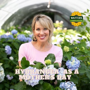 🎙️Welcome to Episode 25 – 14 of The Mountain Gardener Podcast with Ken and Lisa Lain!