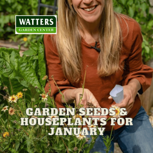 🌱Garden Seed and Houseplants of January