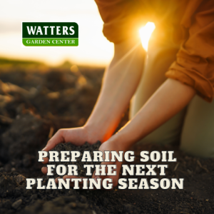 👨🌾How to Prepare Garden Soils for the Next Planting Season