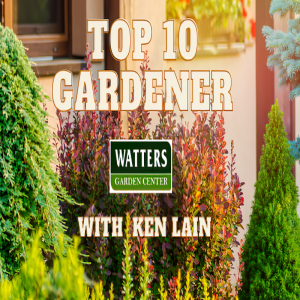 📝Insider Garden Happenings at Top 10 Gardener