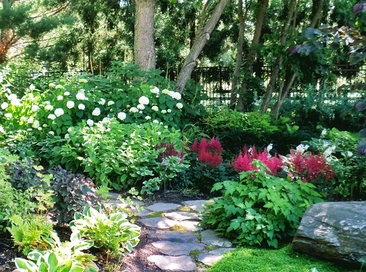 Shade Gardens that Thrive without Light