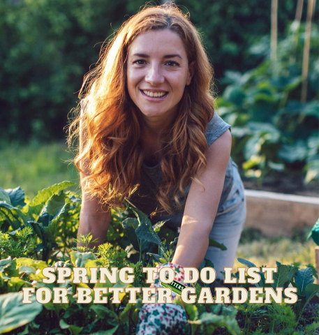 The Essential Spring To-Do List for March Gardens