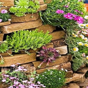 Erosion - Retaining and Gardening with slopes