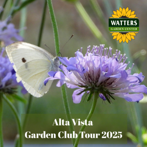 🌻 Don’t Miss This Year’s Alta Vista Garden Club Tour!
