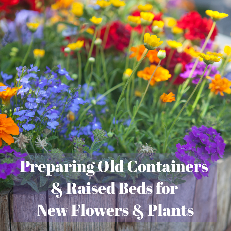 🌻Preparing Old Containers & Raised Beds for New Flowers & Plants
