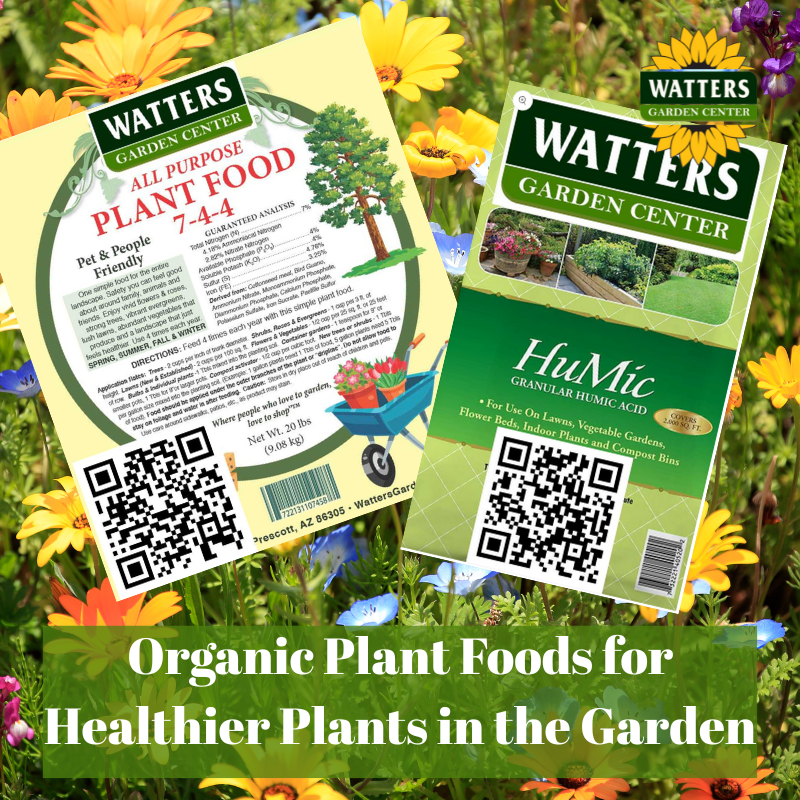 🪴Organic Plant Foods for Healthier Plants in the Garden