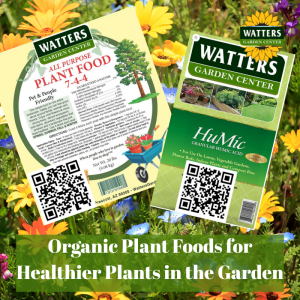 🪴Organic Plant Foods for Healthier Plants in the Garden