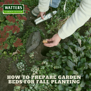 🌱How to Prepare Garden Beds for Fall Planting🌱