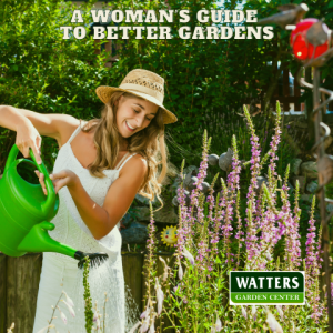 👩A Woman’s Guide to Better Gardens👩