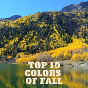 Top 10 Colors of Fall